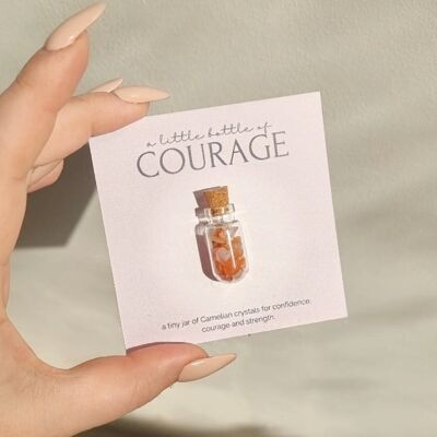 Une petite bouteille de Courage - Cornaline Crystal Wish Jar