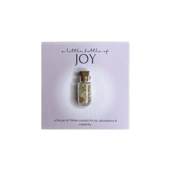 Une petite bouteille de joie - Citrine Crystal Wish Jar 7