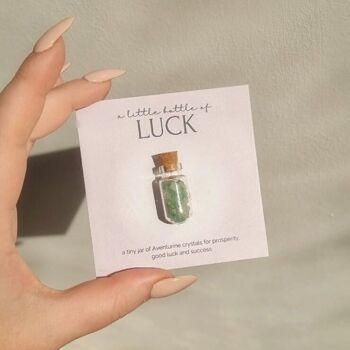 Une petite bouteille de Luck - Aventurine Crystal Wish Jar 5