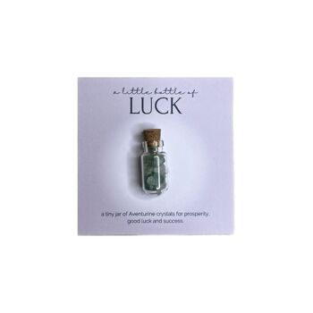 Une petite bouteille de Luck - Aventurine Crystal Wish Jar 7