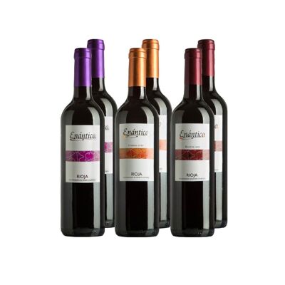 Packung Made in Spain Enántico D Wein.ENTWEDER.Wechselstrom. Rioja rot 6 Flaschen (2 junge + 2 gealterte + 2 Reserve)