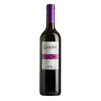 Pack Vin fabriqué en Espagne Enántico D.SOIT.CA. Rioja rouge 6 bouteilles (2 jeunes + 2 vieillies + 2 réserve) 2