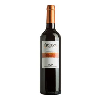 Pack Vin fabriqué en Espagne Enántico D.SOIT.CA. Rioja rouge 6 bouteilles (2 jeunes + 2 vieillies + 2 réserve) 3