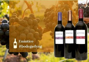 Pack Vin fabriqué en Espagne Enántico D.SOIT.CA. Rioja rouge 6 bouteilles (2 jeunes + 2 vieillies + 2 réserve) 5