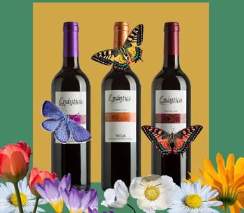 Pack Vin fabriqué en Espagne Enántico D.SOIT.CA. Rioja rouge 6 bouteilles (2 jeunes + 2 vieillies + 2 réserve) 6