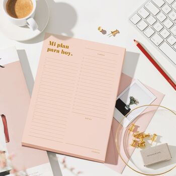 AGENDA MINIMAL CHARUCA. 60 FEUILLES. QUOTIDIEN ROSE A5. 2