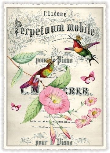 Petunia (SKU: PK945)