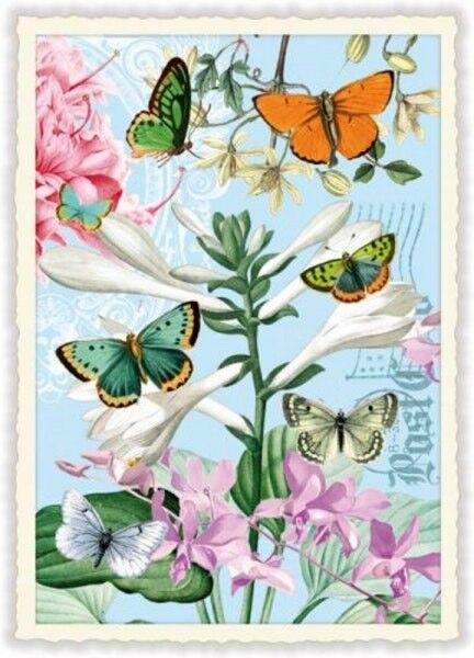 Papillions (senza testo) (SKU: PK915)