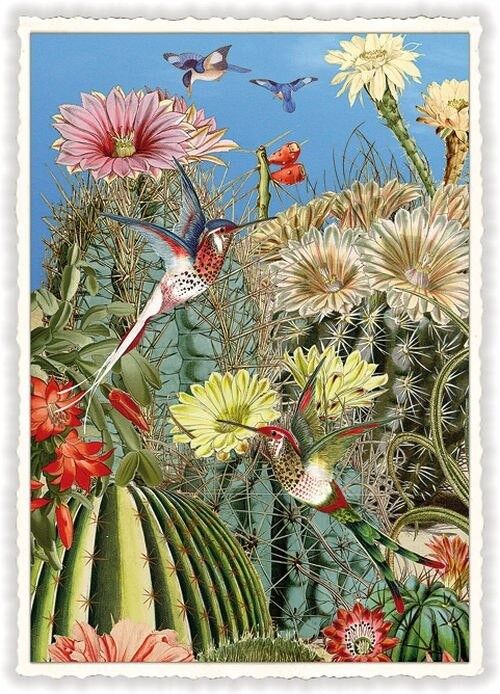 Kolibri (SKU: PK902)