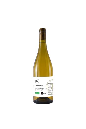 Vin blanc bio Chardonnay 2022 - IGP Pays d'Oc - Pierre & Nico - 75 cL 2