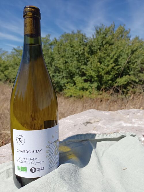 Vin blanc bio Chardonnay 2022 - IGP Pays d'Oc - Pierre & Nico - 75 cL