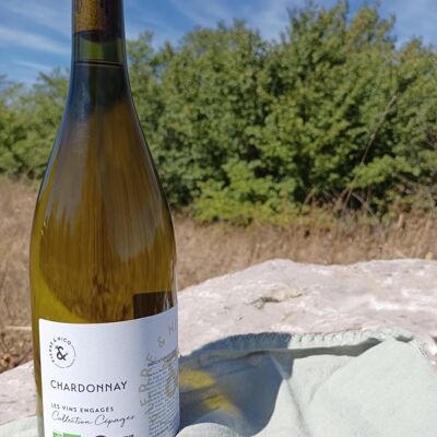 Vino bianco biologico Chardonnay 2022 - IGP Pays d'Oc - Pierre & Nico - 75 cL