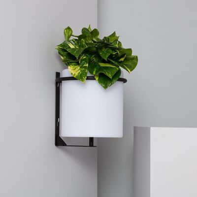 Ledkia LED Outdoor Wall Lamp Planter 22cm RGBW Rechargeable IP65 RGBW