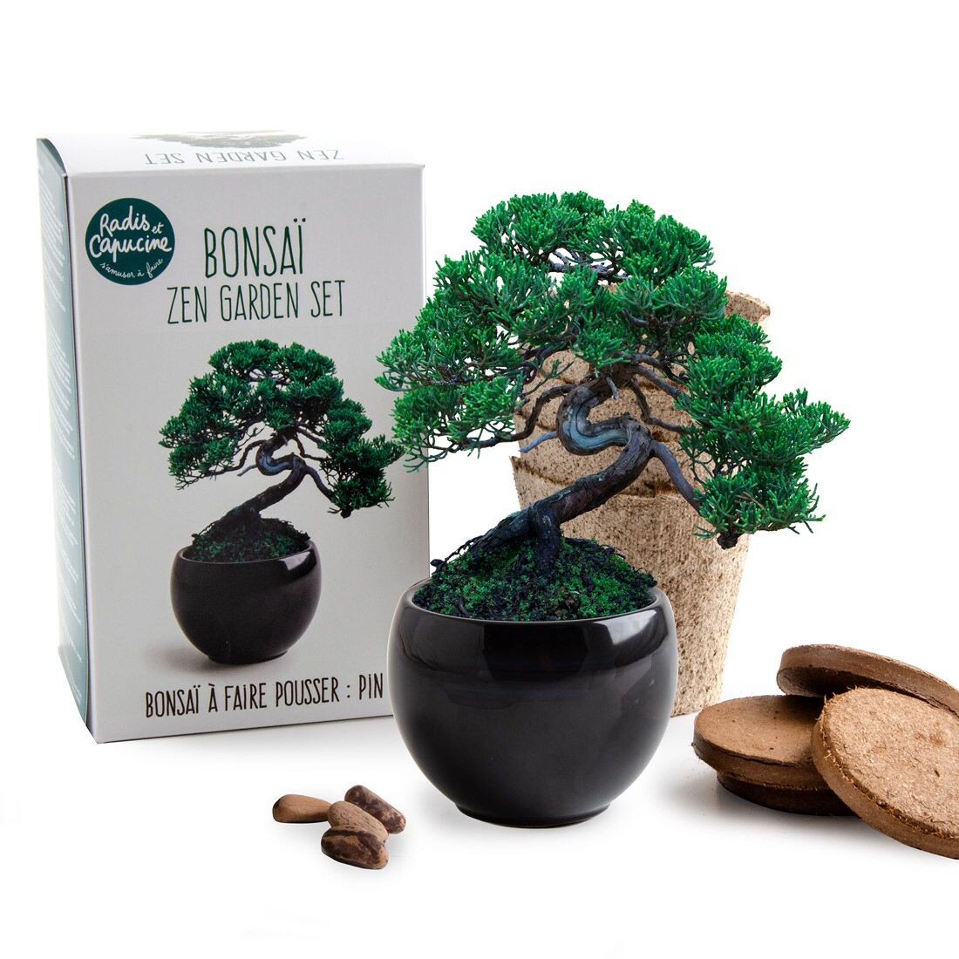 Compra Kit bonsai - Da coltivare all'ingrosso