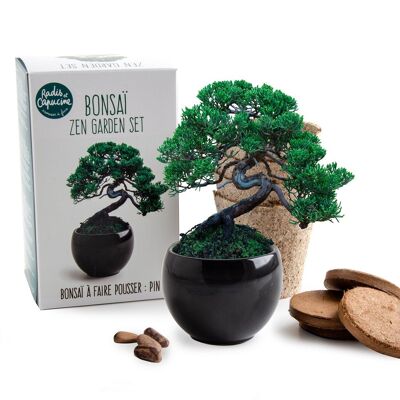 Bonsai kit - To grow