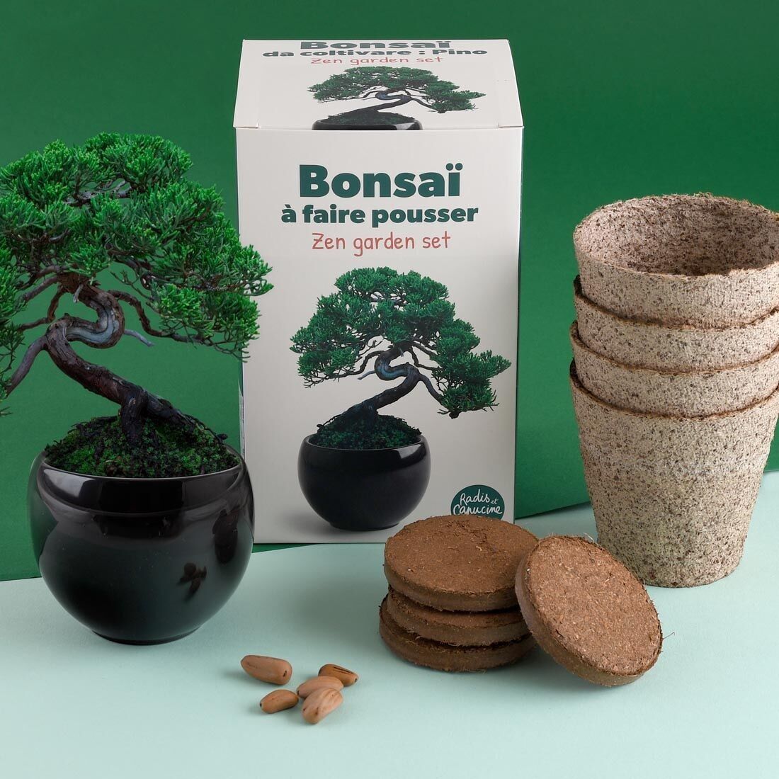 Kit Bonsaï Pin Parasol - cadeau zen
