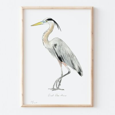 Heron - A3 illustration print