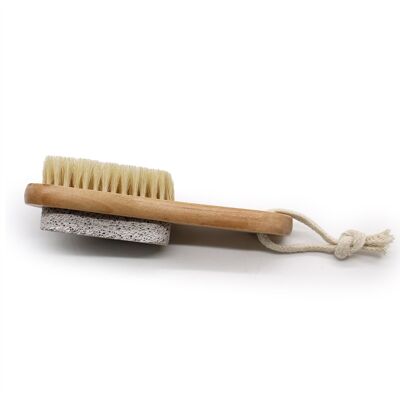 Scrub-17 - Pumice Backed Brush - Sold in 14x unit/s per outer