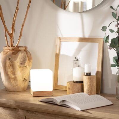 Lampe de table en bois blanc et verre Ledkia Retilles