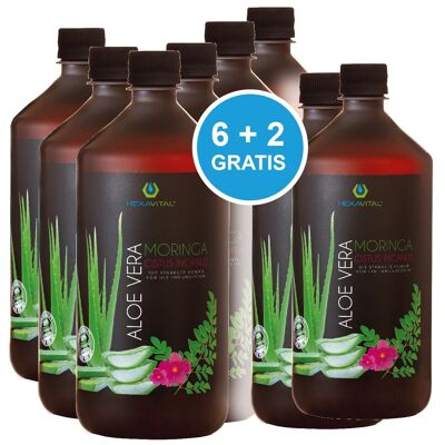 Aloe Vera mit Moringa und Cistus Incanus - 8x1000ml