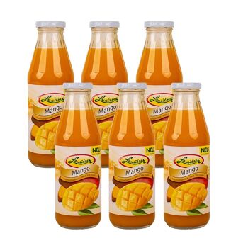 Nectar de mangue de Lusace 500ml 2