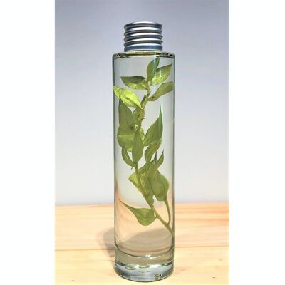Décoration Plantes naturelles en bouteille de verre, Herbarium oil flower