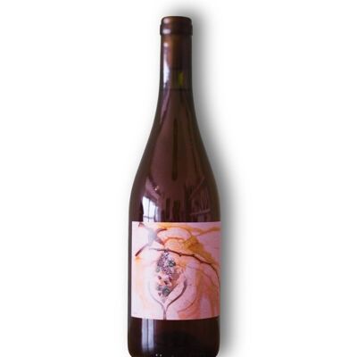 PROCÈS - Vino bianco naturale (Orange wine)