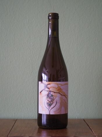 PROCÈS - Vin blanc naturel (Vin orange) 3