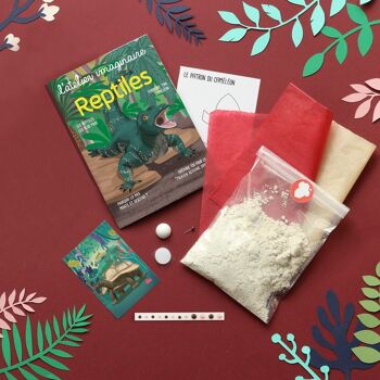Coffret fabrication caméléon en papier mâché pour enfant +1 livre - Kit bricolage/activité enfant en français 10