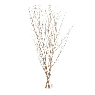 Ledkia Decorative Branches LED with Battery 1.2m Gold