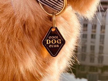 Médaille DOG’S CLUB 2
