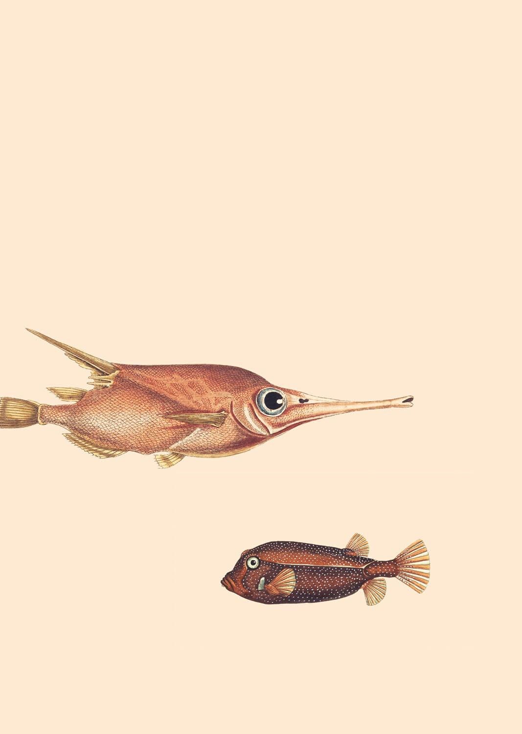 Tempo di stampa A3 per gli eroi