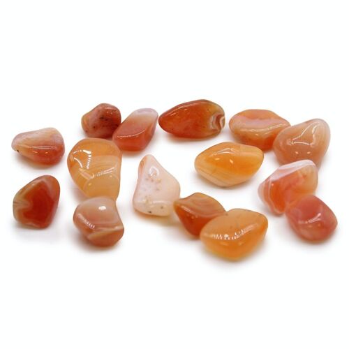 TbmM-17 - M Tumble Stone - Carnelian - Sold in 24x unit/s per outer