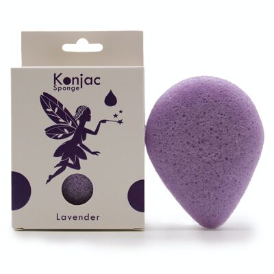 TKong-05 - Teardrop Konjac Sponge - Lavender - Calming - Sold in 6x unit/s per outer
