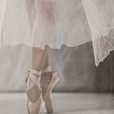 The Graceful Ballerina - 18x24cm / 7 x 9½ in