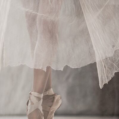 La graziosa ballerina - 18x24 cm / 7 x 9½ pollici