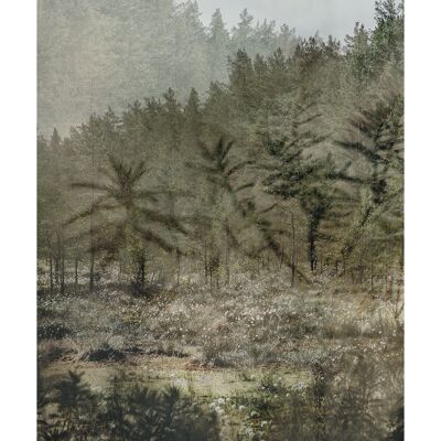 La forêt paisible - 30x40cm / 11¾ x 15¾ in