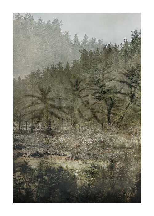 The Peaceful Forest - 50x70cm / 19¾ x 27½ in