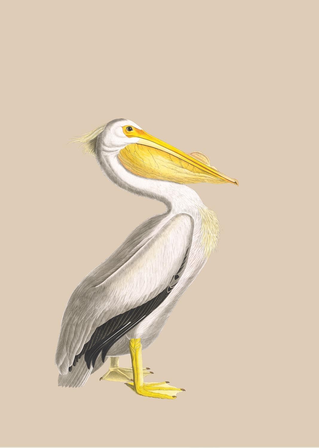 Stampa in formato A3 Io e te