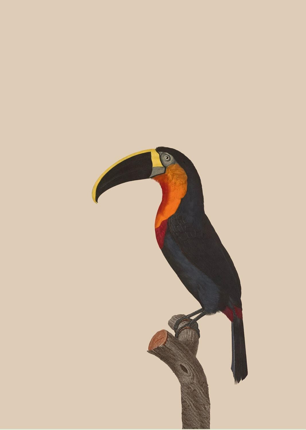 Problema de impresión A3