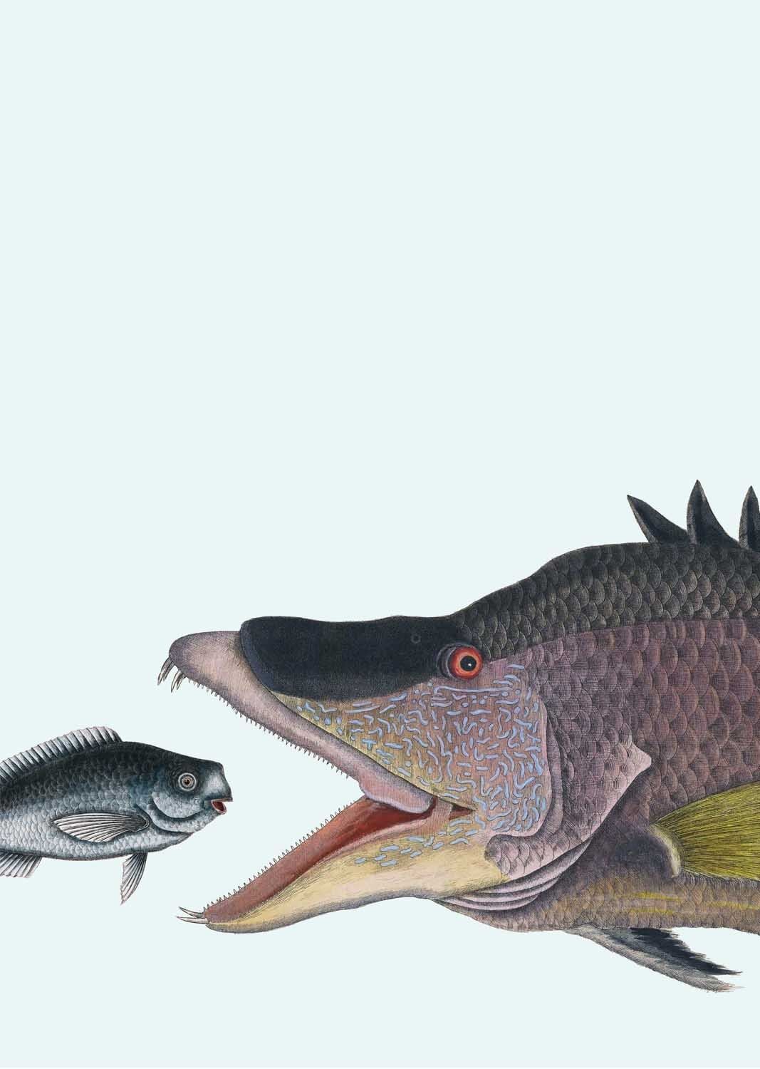 Stampa A3 Ho un sogno