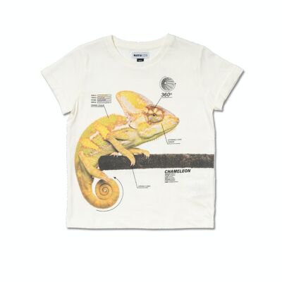 T-shirt blanc en maille pour garçon Desert trail - KB04T104W1