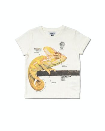 T-shirt blanc en maille pour garçon Desert trail - KB04T104W1 1