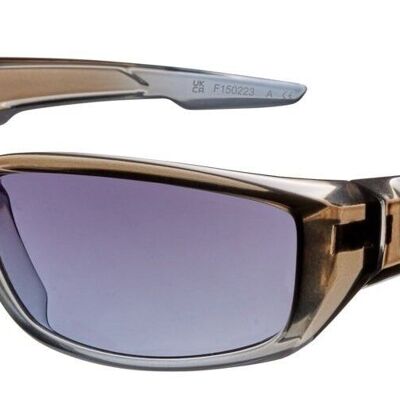Gafas de sol - Icon Eyewear BEAM - Montura gris transparente con lente gris claro