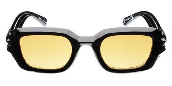 Lunettes de soleil - Icon Eyewear THE GOTHIC ACCOUNTANT - Monture noire avec verres Havana Brown 2