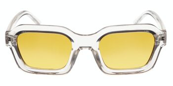 Lunettes de soleil - Icon Eyewear BASE RUNNER - Monture Gris clair avec verres Havana Brown 2