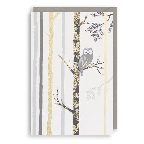 OWL Birthday Card