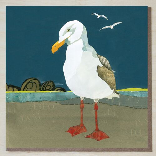 Herring Gull Card (seagull on map) Bird Cards