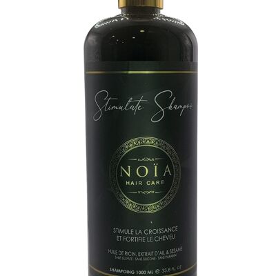 Shampoo con olio di ricino, estratto di aglio e sesamo (1L)