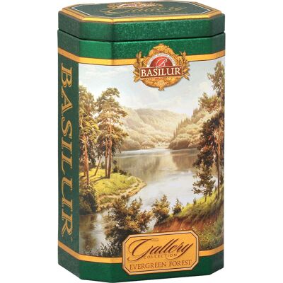 Foresta sempreverde 100g